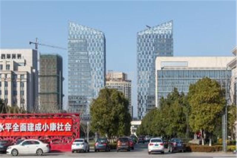 财智金鹰