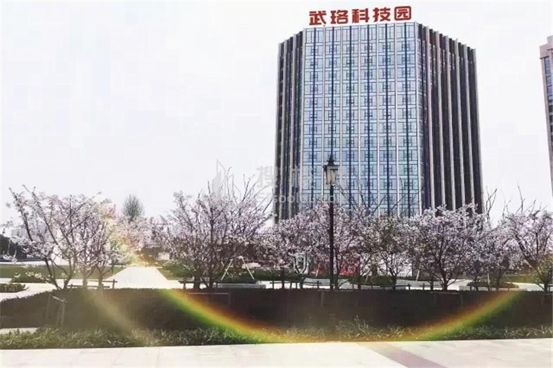 武珞科技园